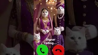 dignar calling🤙viral ringing mi#🔥🤙viralshortvedeo#cute#cat#family#dignar#calling🤙##cute#cat#viral#🤙#