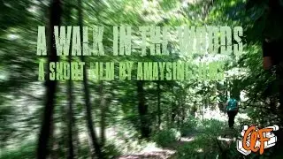 A Walk in the Woods | Film Riot Monday Challenge: Suspense | Short Film
