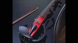 DEJAN KOSTIC PRIMORAC  01 Vesnino Kolo