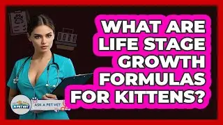 What Are Life Stage Growth Formulas For Kittens? - Ask A Pet Vet