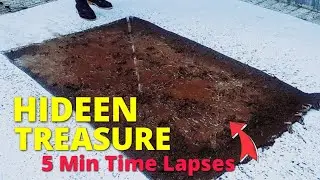 Hidden Treasure | 5 MIN TIME LAPSES | satisfying carpet cleaning