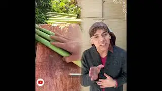This is so funny, l couldn't stop laughing #funny #funnyvideos#duet #foryou #humor #viralvideo