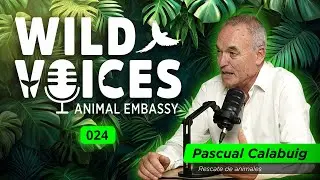 Wild Voices 024 - Pascual Calabuig