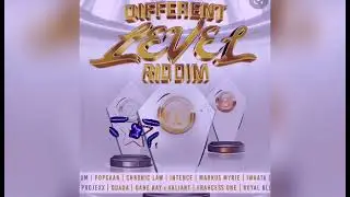 Different Level RIDDIM   Mix Clean  full promo