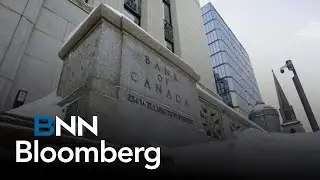 Expect BoC to cut interest rate on Wednesday: Holt