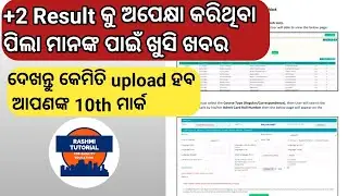 CHSE Exam Result Update | +2 Result details | 10th Mark upload details | CHSE Board Odisha |