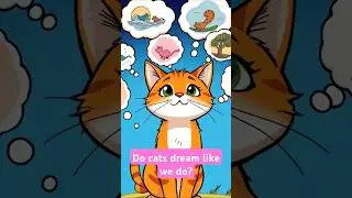 Do Cats Dream Like Humans? The Truth Will Melt Your Heart! #shorts