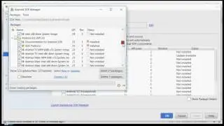 Android Use SDK manager
