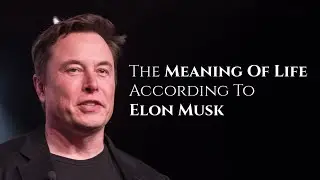 Elon Musk - The Meaning of Life (#Shorts)