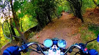 🌳 Riding Under Tree Shadows &ndash; Silent Motorcycle POV in Iran&rsquo;s Forest Trails