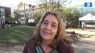 Winkel van Sinkel voor bs. De Peperklip