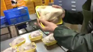 Frozen Chicken/Frozen Meat shrink packaging with Anti Fog Shrink Film