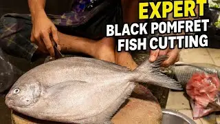 Expert Black Pomfret Fish Cutting | Clean & Traditional Seafood Preparation