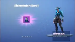 Fortnite_wining sidewinder dark