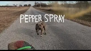 PITBULL DOG ATTACKS Amputee Cyclist Aaron Smith of Gainesville, TX from behind/Pepper Spray/Pimienta