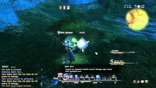 FFXIV lvl 10 Conj vs the dreadful and deadly Dodo