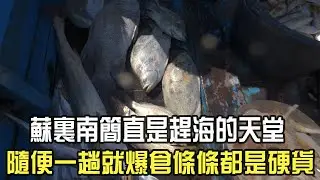 蘇裏南簡直是趕海的天堂，隨便壹趟就爆倉，條條都是硬貨#阿牛愛捕魚  #趕海 #捕魚  #蘇裏南