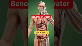 It all begins with a simple choice: a sip of water. #shortvideo #footballshorts #elevenlabs #doctor