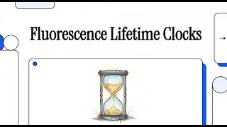 A Real-Time Ageng Clock in Living Cells and Animals