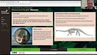 Natural Curriculum Year 3 lesson