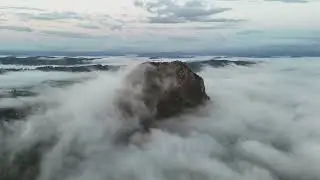 Mt Cooroora dawn fly