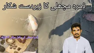dambara machli ka shikar | Dambra fish hunting