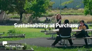 Sustainability at Purchase College
