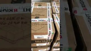 Mutant mass gainer restocked |video coming soon with best price