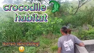This was not expected👀 | Mandela highway/ferry 🇯🇲