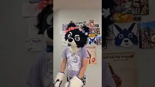 Howl  #furry  #fursuiters #furries #fursona