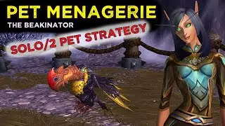 The Beakinator -  Solo / 2 Pet Levelling Team (Pet Menagerie)