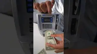 Best Piggy Bank in the World