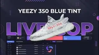 Yeezy 350 