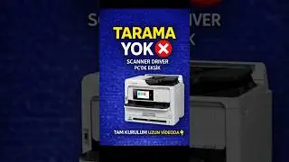 Не работает сканирование на принтере Epson | Проблема с драйвером сканера