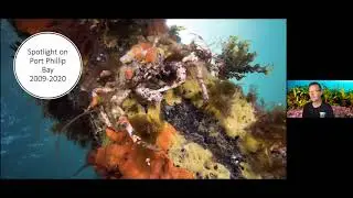 Beneath Port Phillip Bay - A decade of change in reef condition