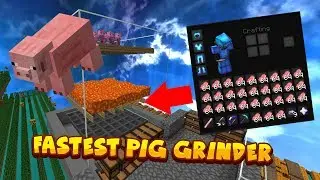 FASTEST PIG GRINDER EVER? | Hypixel Skyblock