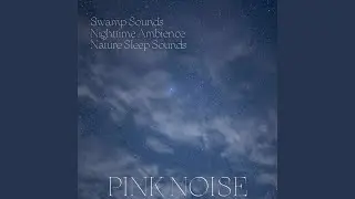 Loopable - Crickets at Night at the Cottage (Pink Noise)