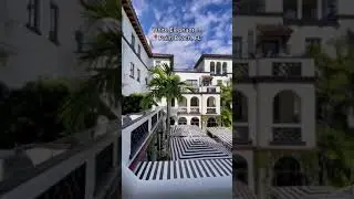 #1 Best Resort in Florida 🐘🌴
