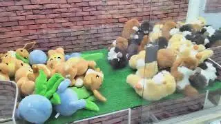 Popular Game In Japan #ufo catcher #game center #the claw 