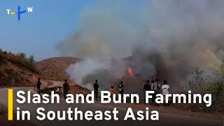 Fiery Farming Practices in Myanmar Unlikely To End Anytime Soon | TaiwanPlus News