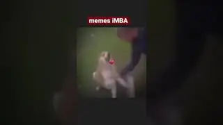 Don't miss it, subscribe😂 #приколы #смех #юмор #memes #мемы #ржака #shorts #смешно#memesvideo