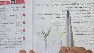 حل الأسئلة المقالية درس التغذية الذاتية كتاب الامتحان ٢٠٢١ للصف الثاني الثانوي الجزء ٢