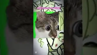 no bo...TAKS&Oacute;WKA 👄👁️👄💥✨💥✨✨💥💥