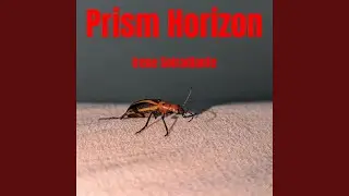 Prism Horizon