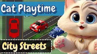 Car Cat Game for bored cats to watch on screen - City Streets 🏙🚗🚙🚓🚘