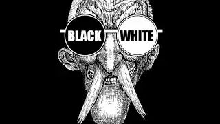KRITICAL RACE THEORY | WALTER PLECKER