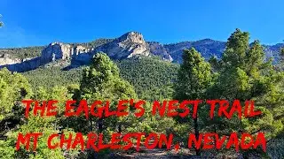 THE EAGLE'S NEST TRAIL MT CHARLESTON, NEVADA