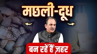 Cancer Causes | Risks from Fish | Acharya Manish Ji
