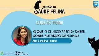1&deg; Dia - Imers&atilde;o em Sa&uacute;de Felina | 