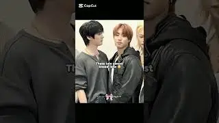 Not them acting innocent after that 😭 #minsung #skz #kpop #fyp #skzillitjeongin
